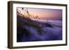 Lavender Beach I-Alan Hausenflock-Framed Photographic Print