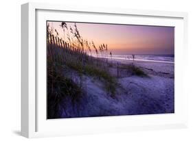 Lavender Beach I-Alan Hausenflock-Framed Photographic Print