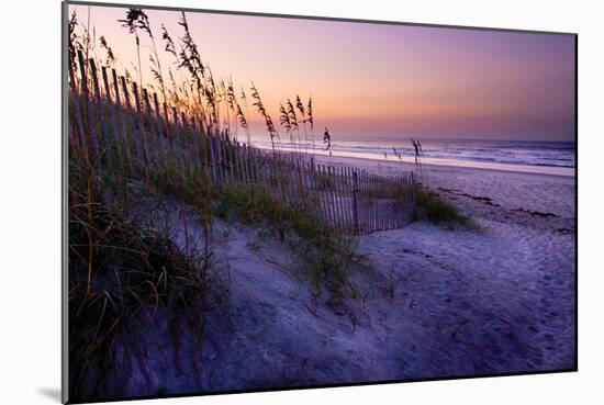 Lavender Beach I-Alan Hausenflock-Mounted Photographic Print