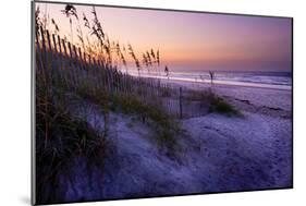 Lavender Beach I-Alan Hausenflock-Mounted Photographic Print