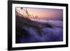 Lavender Beach I-Alan Hausenflock-Framed Photographic Print