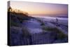 Lavender Beach II-Alan Hausenflock-Stretched Canvas
