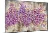 Lavender Bells-li bo-Mounted Giclee Print