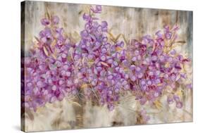 Lavender Bells-li bo-Stretched Canvas