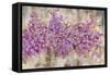 Lavender Bells-li bo-Framed Stretched Canvas