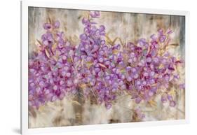 Lavender Bells-li bo-Framed Giclee Print