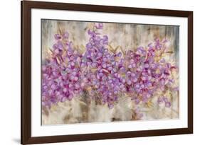 Lavender Bells-li bo-Framed Giclee Print