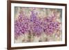 Lavender Bells-li bo-Framed Giclee Print