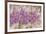 Lavender Bells-li bo-Framed Giclee Print