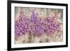 Lavender Bells-li bo-Framed Giclee Print