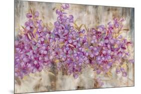 Lavender Bells-li bo-Mounted Giclee Print