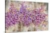 Lavender Bells-li bo-Stretched Canvas