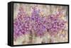 Lavender Bells-li bo-Framed Stretched Canvas