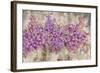 Lavender Bells-li bo-Framed Giclee Print