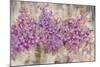 Lavender Bells-li bo-Mounted Giclee Print