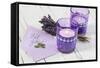 Lavender, Blossoms, Envelope, Four-Leafed Clover, Candles-Andrea Haase-Framed Stretched Canvas