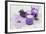 Lavender, Blossoms, Envelope, Four-Leafed Clover, Candles-Andrea Haase-Framed Photographic Print