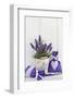 Lavender, Blossoms, Fragrance Sachets, Flowerpot-Andrea Haase-Framed Photographic Print