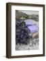 Lavender Blossoms, Lavender Soap, French-Andrea Haase-Framed Photographic Print