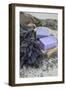 Lavender Blossoms, Lavender Soap, French-Andrea Haase-Framed Photographic Print