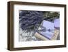 Lavender Blossoms, Lavender Soap, French-Andrea Haase-Framed Photographic Print