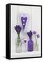 Lavender, Blossoms, Pansies, Chive Blossoms, Heart-Andrea Haase-Framed Stretched Canvas