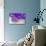 Lavender, Blossoms, Smell, Bottle, Close-Up-Andrea Haase-Stretched Canvas displayed on a wall