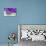 Lavender, Blossoms, Smell, Bottle, Close-Up-Andrea Haase-Stretched Canvas displayed on a wall