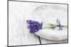 Lavender, Blossoms, Smell, Bunch, Bowl-Andrea Haase-Mounted Photographic Print