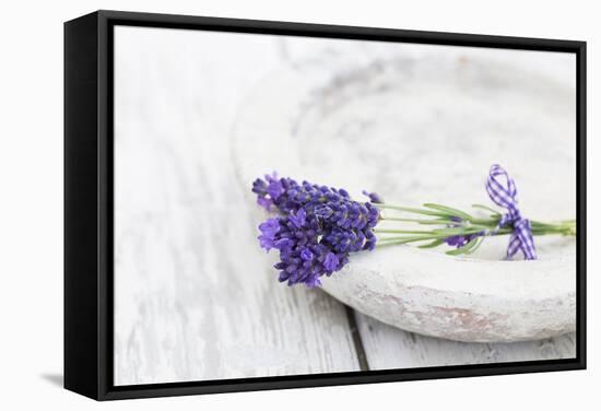 Lavender, Blossoms, Smell, Bunch, Bowl-Andrea Haase-Framed Stretched Canvas
