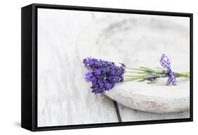 Lavender, Blossoms, Smell, Bunch, Bowl-Andrea Haase-Framed Stretched Canvas