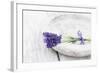 Lavender, Blossoms, Smell, Bunch, Bowl-Andrea Haase-Framed Photographic Print