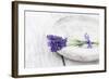 Lavender, Blossoms, Smell, Bunch, Bowl-Andrea Haase-Framed Photographic Print