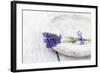 Lavender, Blossoms, Smell, Bunch, Bowl-Andrea Haase-Framed Photographic Print