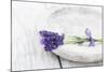 Lavender, Blossoms, Smell, Bunch, Bowl-Andrea Haase-Mounted Photographic Print