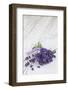 Lavender, Blossoms, Smell, Bunch, Wood-Andrea Haase-Framed Photographic Print