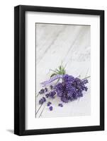 Lavender, Blossoms, Smell, Bunch, Wood-Andrea Haase-Framed Photographic Print