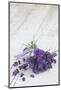 Lavender, Blossoms, Smell, Bunch, Wood-Andrea Haase-Mounted Photographic Print