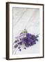 Lavender, Blossoms, Smell, Bunch, Wood-Andrea Haase-Framed Photographic Print