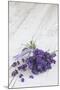 Lavender, Blossoms, Smell, Bunch, Wood-Andrea Haase-Mounted Photographic Print