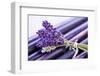 Lavender, Blossoms, Smell, Bunch-Andrea Haase-Framed Photographic Print