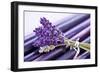 Lavender, Blossoms, Smell, Bunch-Andrea Haase-Framed Photographic Print