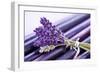 Lavender, Blossoms, Smell, Bunch-Andrea Haase-Framed Photographic Print