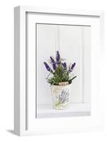 Lavender, Blossoms, Smell, Rivererpot-Andrea Haase-Framed Photographic Print