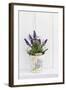 Lavender, Blossoms, Smell, Rivererpot-Andrea Haase-Framed Photographic Print