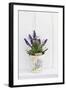 Lavender, Blossoms, Smell, Rivererpot-Andrea Haase-Framed Photographic Print