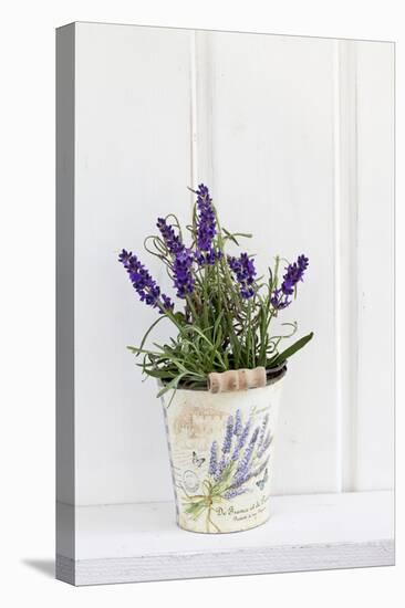 Lavender, Blossoms, Smell, Rivererpot-Andrea Haase-Stretched Canvas