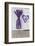 Lavender, Blossoms, Vase, Heart-Andrea Haase-Framed Photographic Print