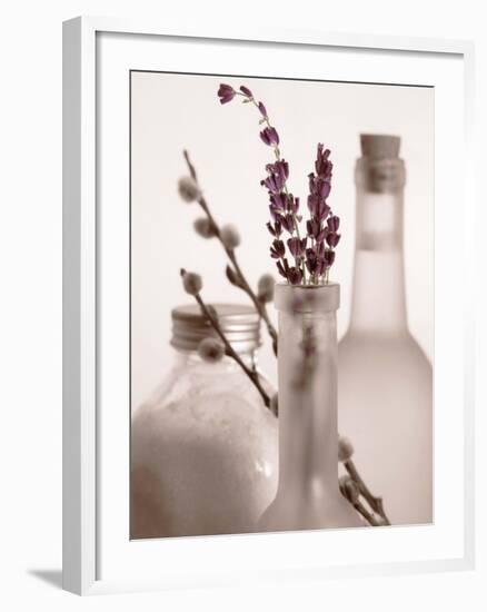 Lavender Bottles-Julie Greenwood-Framed Art Print