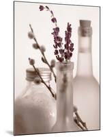 Lavender Bottles-Julie Greenwood-Mounted Art Print